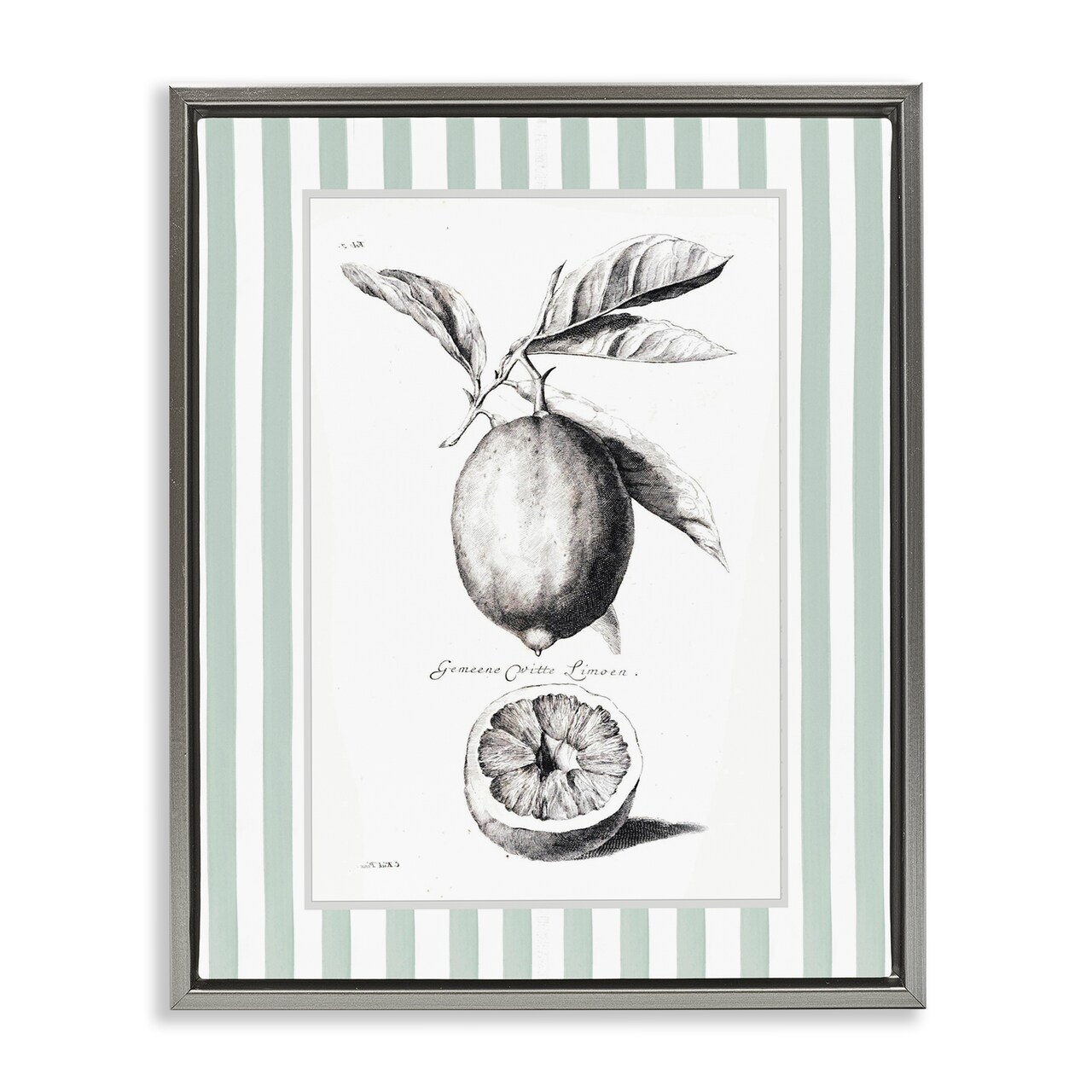 Stupell Industries Vintage Citrus Green Stripes Floating Frame, design by Lettered and Lined